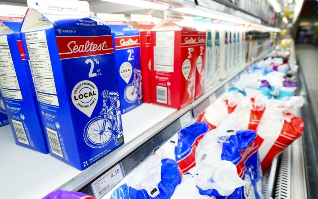 Dairy Farmers asking to pause price of Milk Increase