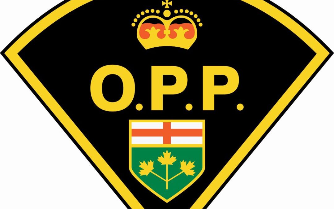 97 year old Nun, Arrested and Charged with Sexual Assault