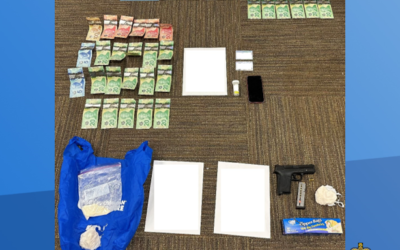 Male Arrested on Drug and Gun Charges in St. Catharines