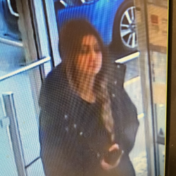 NRPS Seek to Identify Suspects in Retail Thefts in Niagara Falls – PHOTOS